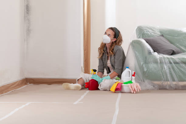 Reliable Commercial Mold Remediation contractor in Millerstown, PA by WQB Mold Removal